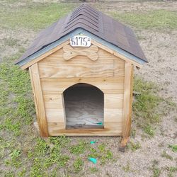 Dog House 