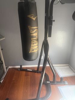 Punching/Speed Bag Combo…New!