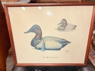 Signed Jack Hahn Duck Print