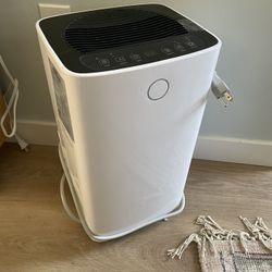 Dehumidifier- 25 Pint 