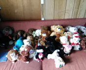 Stuffed Animals $1 each