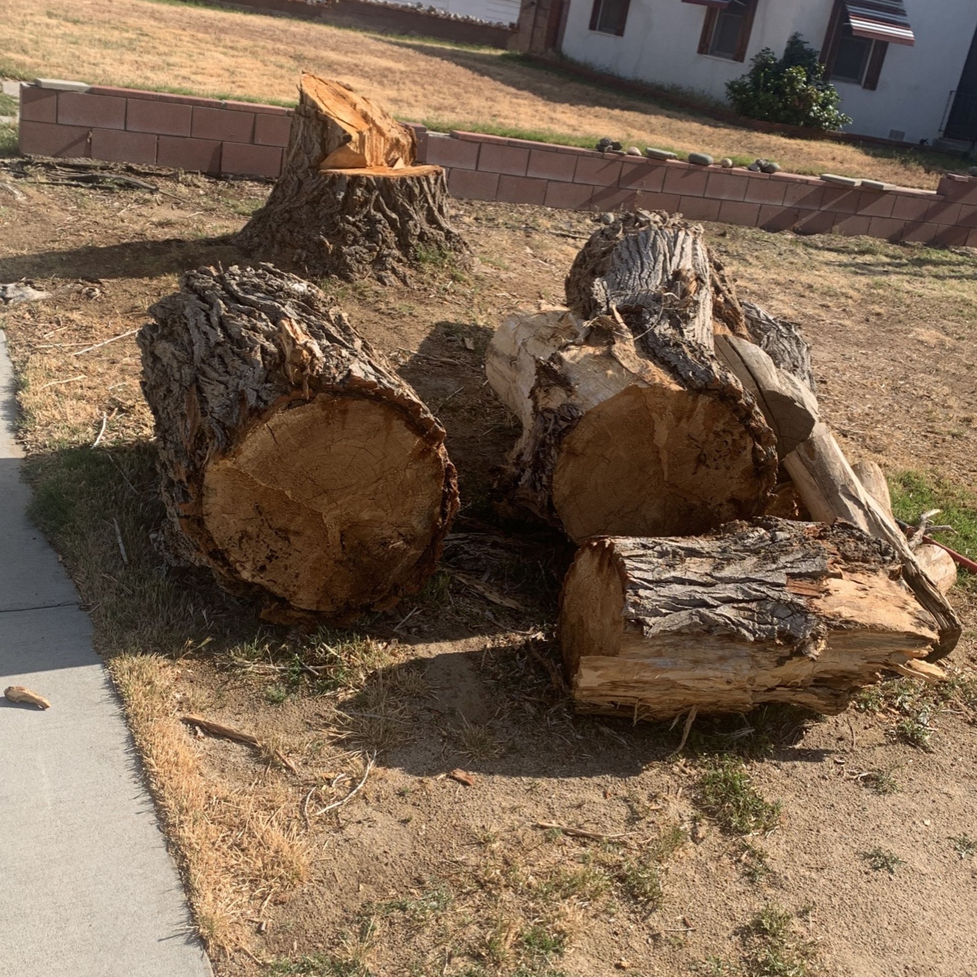 FREE Wood Tree Trunk for Sale in Lancaster, CA OfferUp