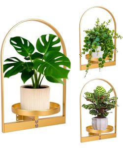 3 Pack Gold Wall Plant Holder for Indoor Plants, Metal Wall Mounted Plant Shelf for Small Pots, Decorative Hanging Wall Planter Display, Modern Wall D