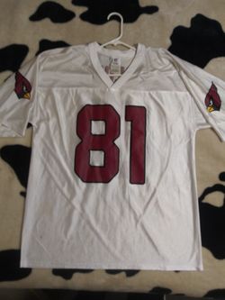 Arizona Cardinals jersey and Nike shirt. Both!