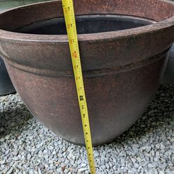 $15 Plant Pot 