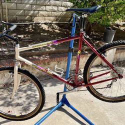 Vintage 1988 Specialized Mtb 