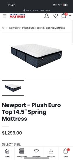 Newport-Plush Euro