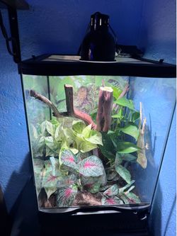 Reptile enclosure