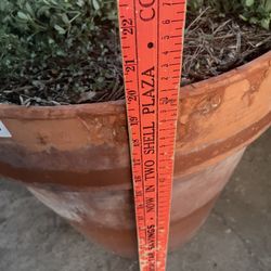 Ceramic Pot 