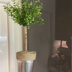 Housplant Boxwood Decoration