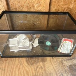 40 gallon tank 