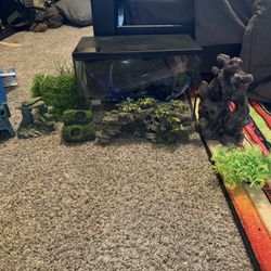 Fish Tank with Many Accessories 