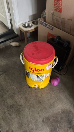 Igloo water pitcher