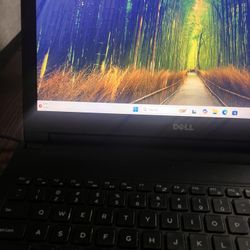Dell Laptop 15.6 Hd Display 