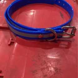 Dog Collar 