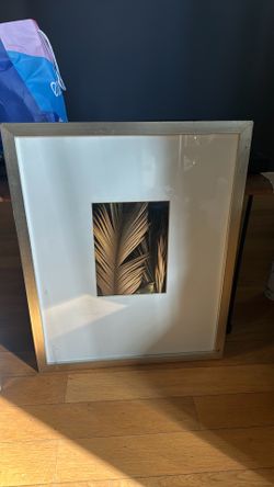 2 Chrome Picture Frames