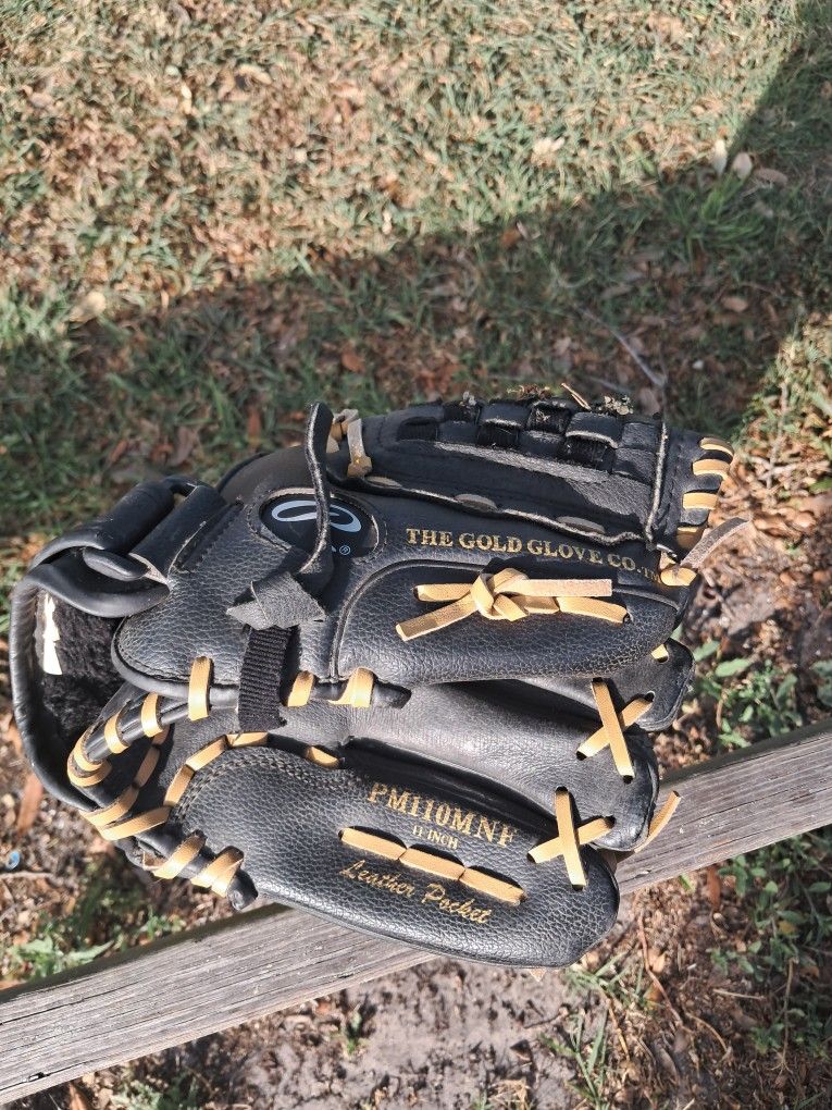 Baseball Glove Brand Name: Rawlings