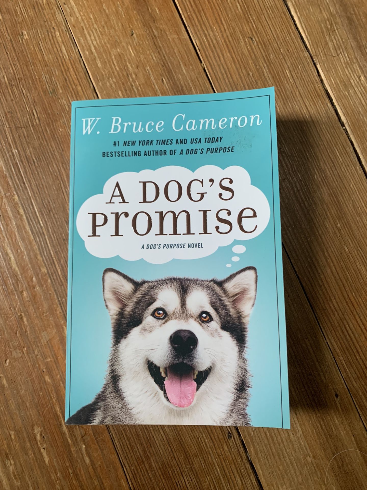 A Dogs Promise - Book