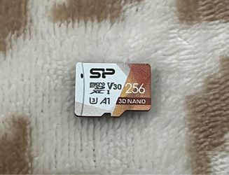 SP 256 GB Micro SD memory