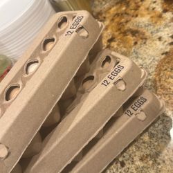 Organic Eggs 