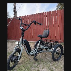 Rad Ebike $1100 OBO (originally $1600+)
