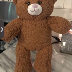 Build A Bear Girl Scout Adventurefuls Bear plush