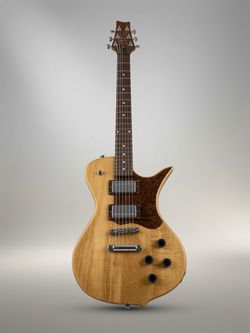 Custom Luthier Built Electric Guitar