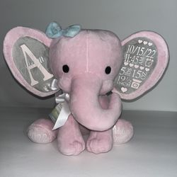 Newborn Statistic Keepsake