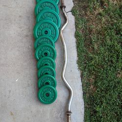 Repainted Weights And Curl Bar