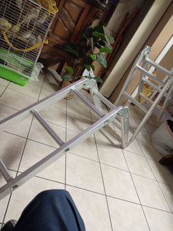 12 step ladder