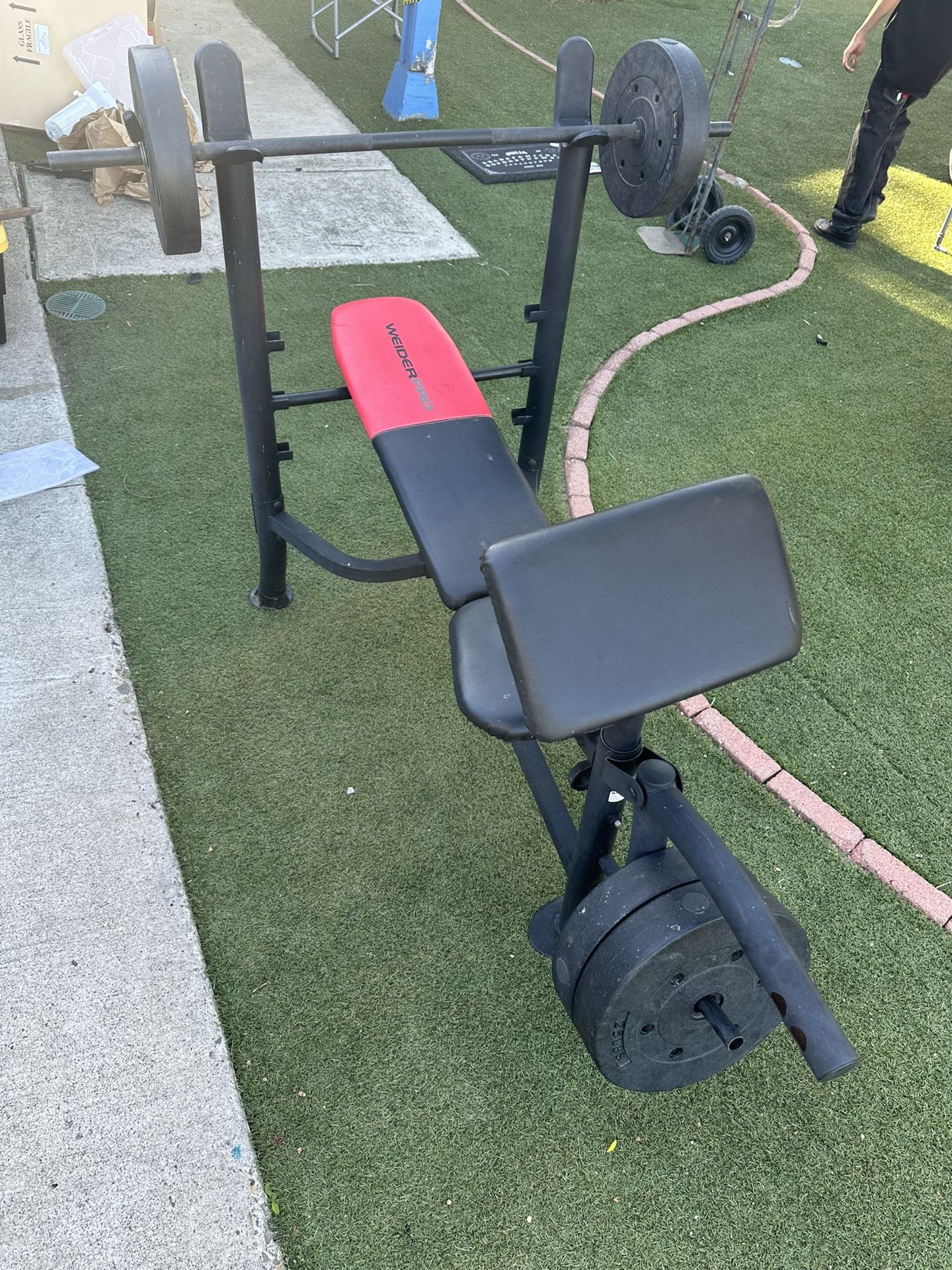 Weight Set Bench Press