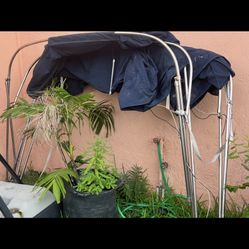 Dual Pontoon Biminis