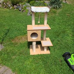 Beautiful Cat Tower