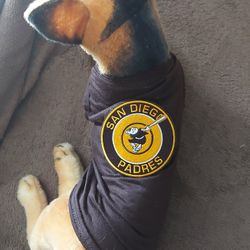 Padres Pet Clothes Clothing Shirt New