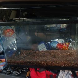 29 Gallon Aquarium