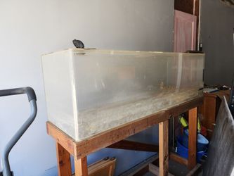 Acrylic fish tank