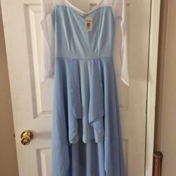 Frozen “Elsa” Dress New  And Wig 