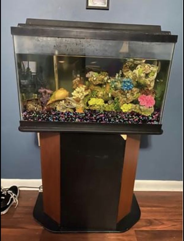 25 gallon fish tank for Sale in Northampton, PA - OfferUp