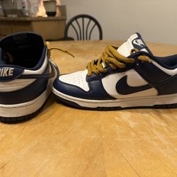 Nike Dunks Size 9.5