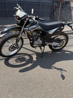2024 trail master t5 250cc
