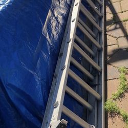 Telescoping Extension Ladder Aluminum