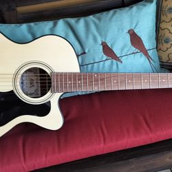 Brand New Full Size Acoustic Guitar With New Bag 