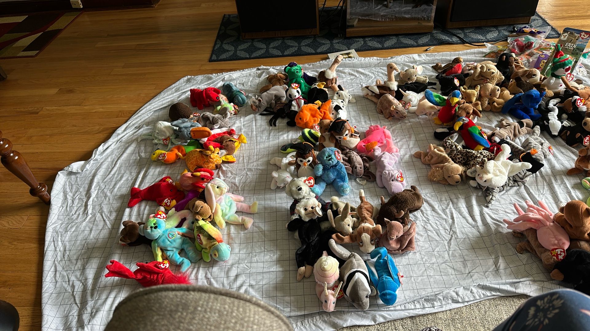 Beanie Babies And Minnie Beanies