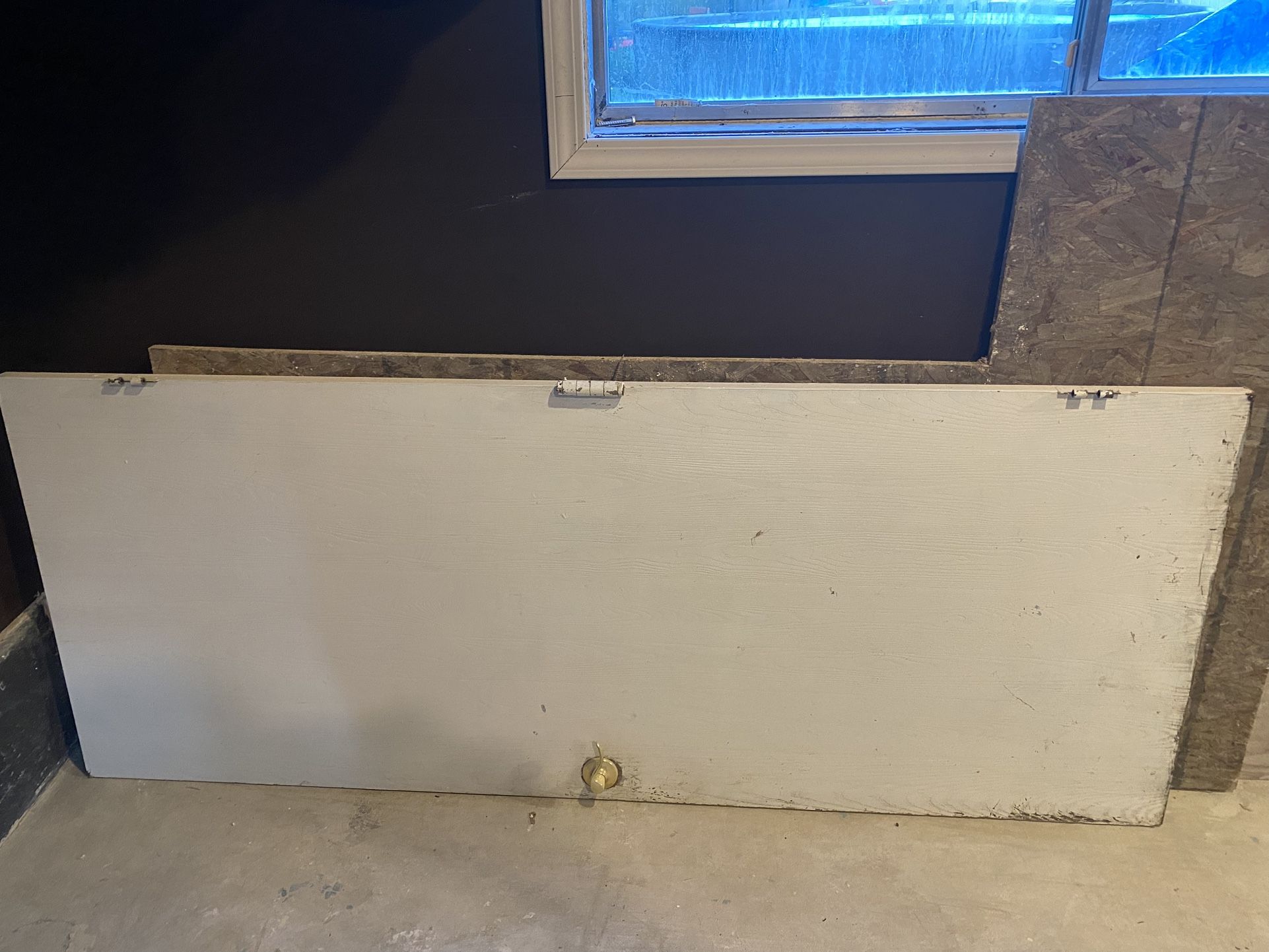 32x80 Exterior Entry Door