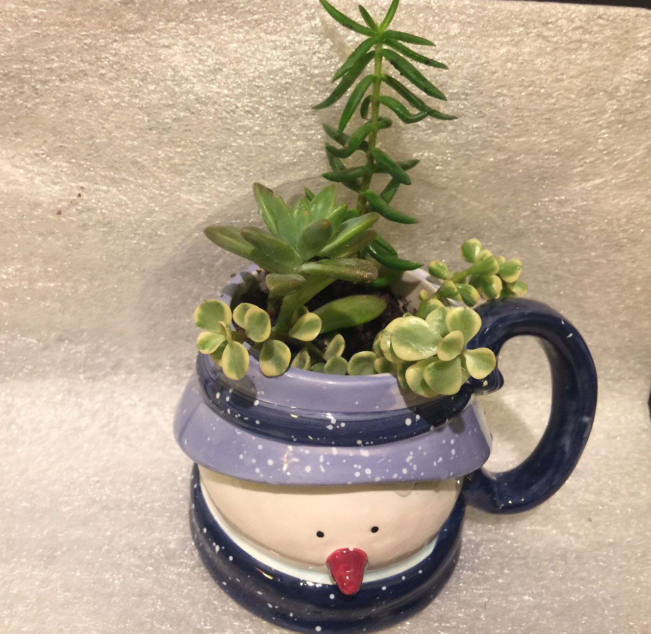 Mrs. Snowman Ceramic Cup With Succulents Plants 🎄⛄️