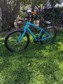 Specialized roll cruiser