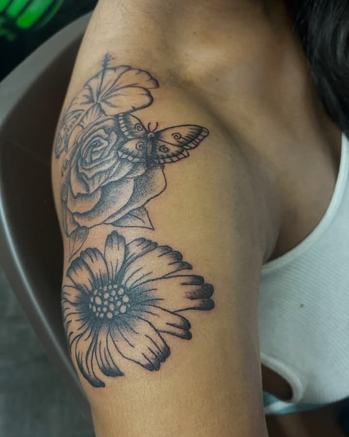 Tatu Linas Lines