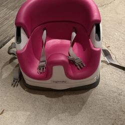 Ingenuity Booster Seat