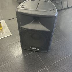 Speaker