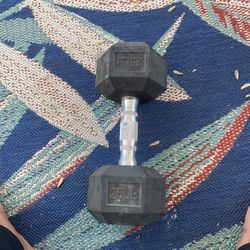 1 25lbs Dumbbell